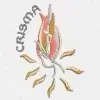 Matriz de Bordado - Crisma  (10233)