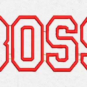 Matriz de Bordado - E-BOSS APLIQUE